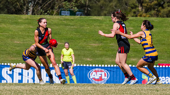 WPD Grand Final - North Shore v Sydney Uni - 20 September 2025