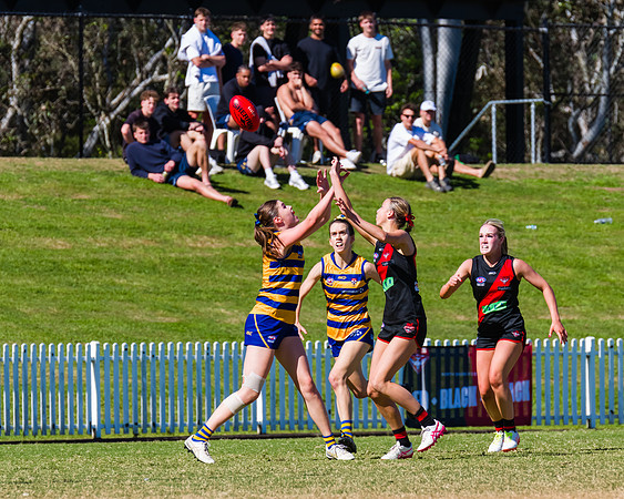 WPD Grand Final - North Shore v Sydney Uni - 20 September 2025