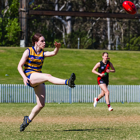 WPD Grand Final - North Shore v Sydney Uni - 20 September 2025