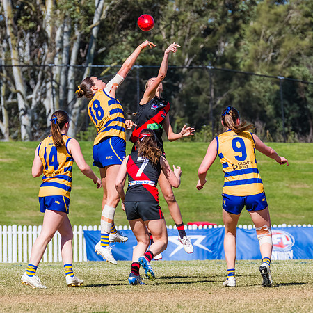 WPD Grand Final - North Shore v Sydney Uni - 20 September 2025