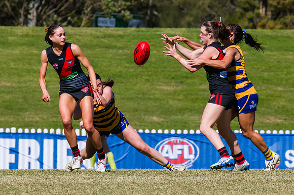 WPD Grand Final - North Shore v Sydney Uni - 20 September 2025