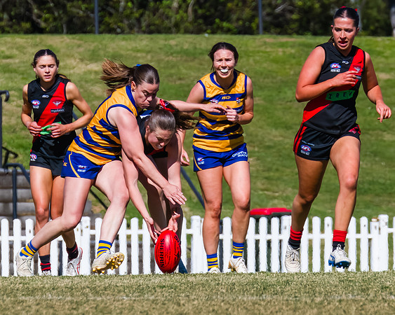 WPD Grand Final - North Shore v Sydney Uni - 20 September 2025