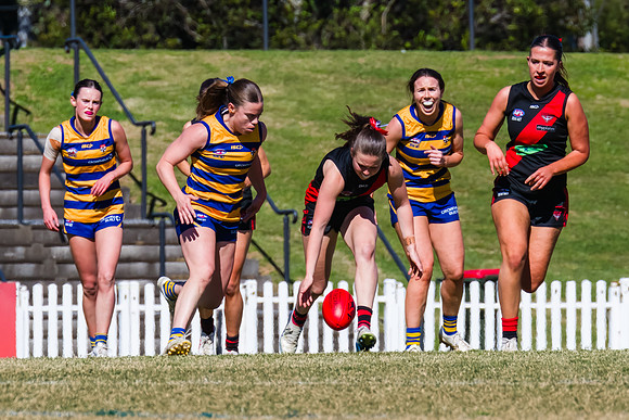 WPD Grand Final - North Shore v Sydney Uni - 20 September 2025