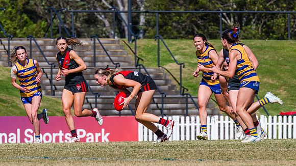 WPD Grand Final - North Shore v Sydney Uni - 20 September 2025