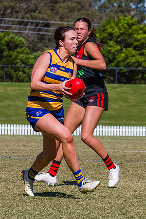 WPD Grand Final - North Shore v Sydney Uni - 20 September 2025