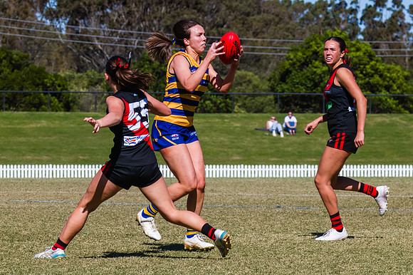 WPD Grand Final - North Shore v Sydney Uni - 20 September 2025