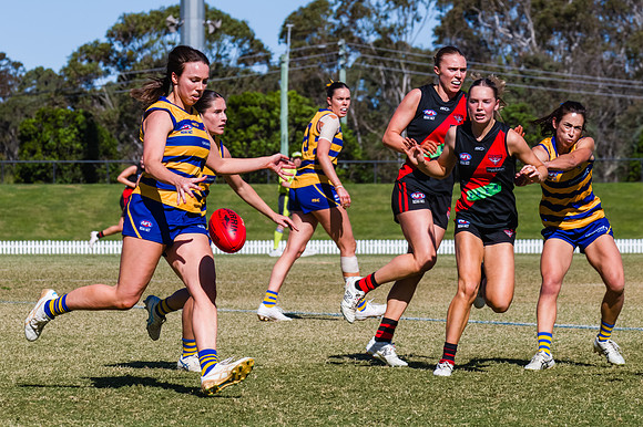 WPD Grand Final - North Shore v Sydney Uni - 20 September 2025