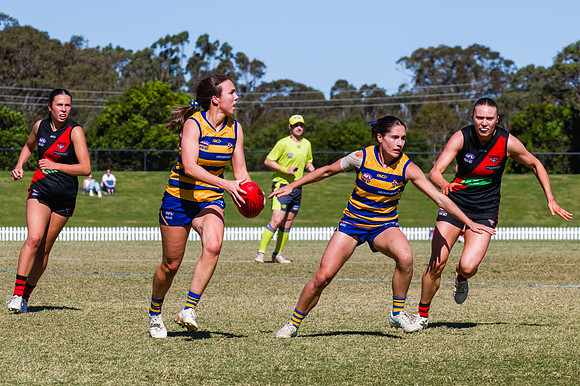 WPD Grand Final - North Shore v Sydney Uni - 20 September 2025
