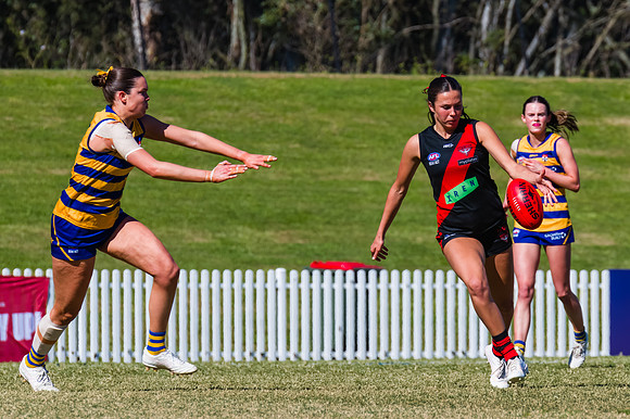 WPD Grand Final - North Shore v Sydney Uni - 20 September 2025