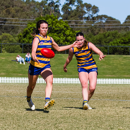 WPD Grand Final - North Shore v Sydney Uni - 20 September 2025