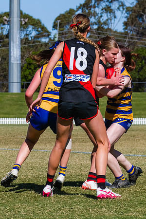 WPD Grand Final - North Shore v Sydney Uni - 20 September 2025