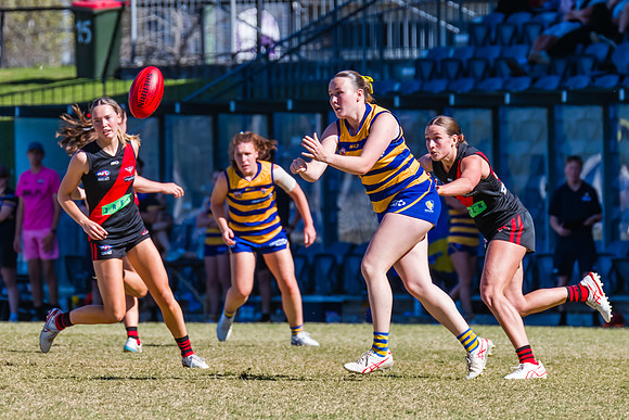 WPD Grand Final - North Shore v Sydney Uni - 20 September 2025