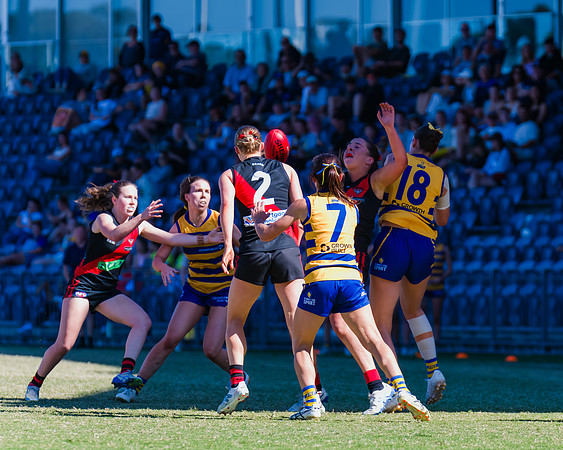 WPD Grand Final - North Shore v Sydney Uni - 20 September 2025
