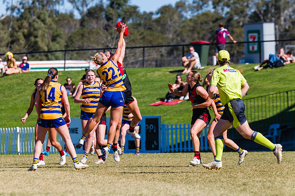 WPD Grand Final - North Shore v Sydney Uni - 20 September 2025
