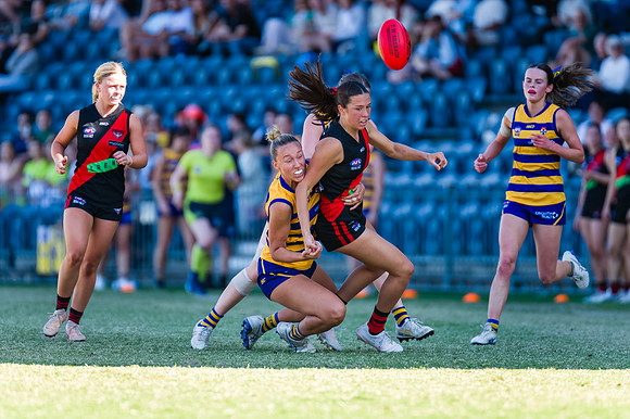 WPD Grand Final - North Shore v Sydney Uni - 20 September 2025