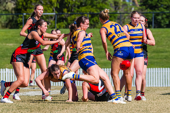 WPD Grand Final - North Shore v Sydney Uni - 20 September 2025