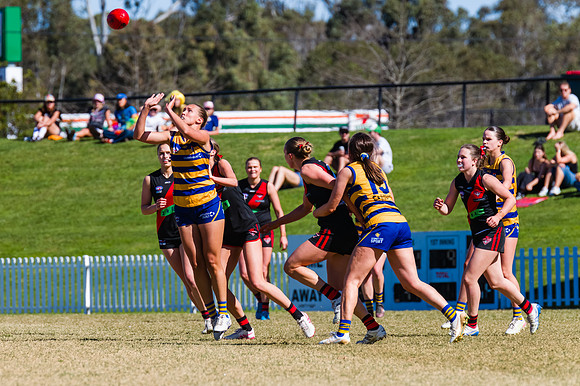 WPD Grand Final - North Shore v Sydney Uni - 20 September 2025