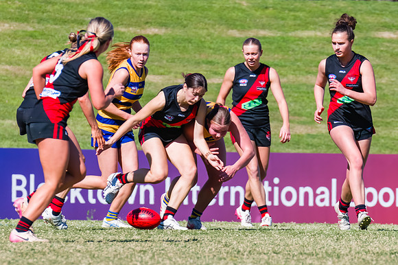 WPD Grand Final - North Shore v Sydney Uni - 20 September 2025