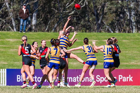 WPD Grand Final - North Shore v Sydney Uni - 20 September 2025