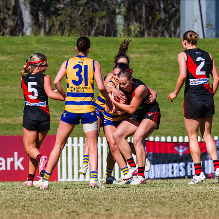 WPD Grand Final - North Shore v Sydney Uni - 20 September 2025