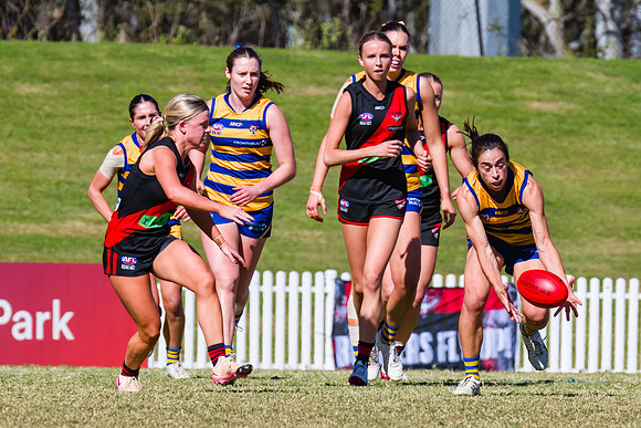 WPD Grand Final - North Shore v Sydney Uni - 20 September 2025