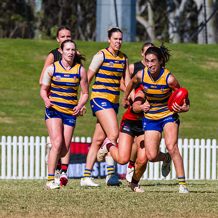 WPD Grand Final - North Shore v Sydney Uni - 20 September 2025
