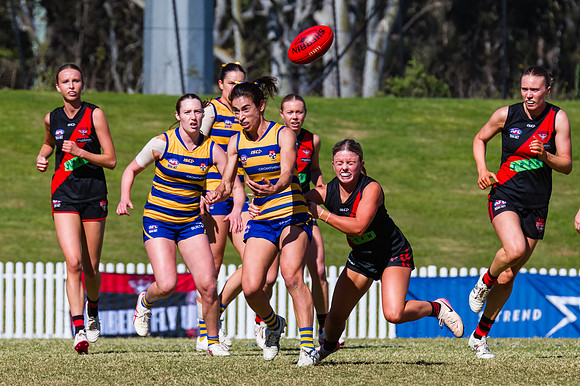 WPD Grand Final - North Shore v Sydney Uni - 20 September 2025