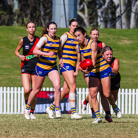 WPD Grand Final - North Shore v Sydney Uni - 20 September 2025