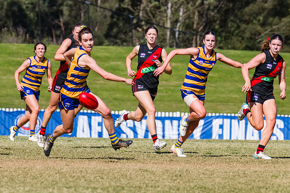 WPD Grand Final - North Shore v Sydney Uni - 20 September 2025
