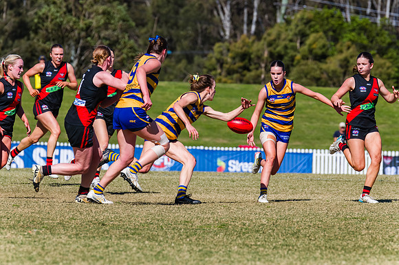 WPD Grand Final - North Shore v Sydney Uni - 20 September 2025