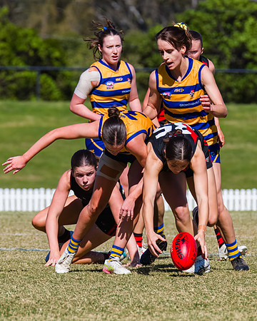 WPD Grand Final - North Shore v Sydney Uni - 20 September 2025