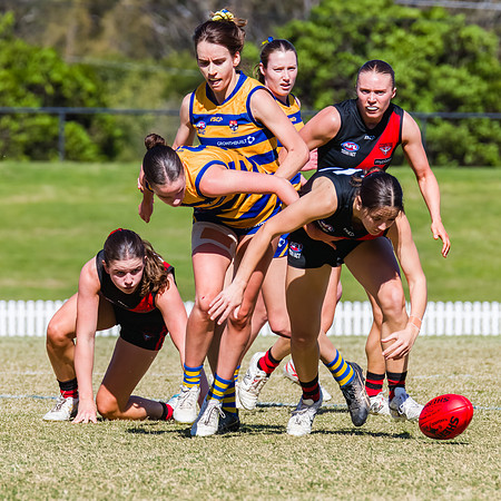 WPD Grand Final - North Shore v Sydney Uni - 20 September 2025