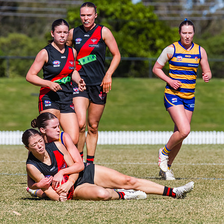 WPD Grand Final - North Shore v Sydney Uni - 20 September 2025