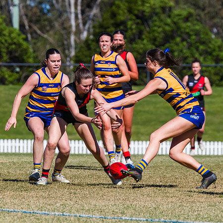 WPD Grand Final - North Shore v Sydney Uni - 20 September 2025