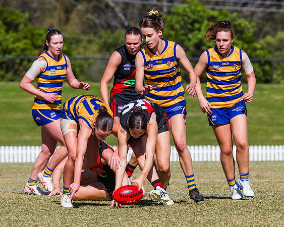 WPD Grand Final - North Shore v Sydney Uni - 20 September 2025