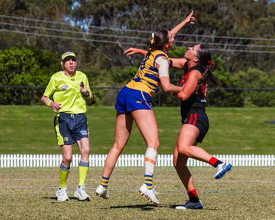 WPD Grand Final - North Shore v Sydney Uni - 20 September 2025