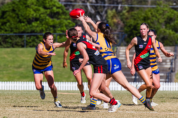 WPD Grand Final - North Shore v Sydney Uni - 20 September 2025