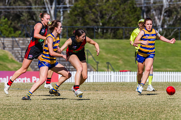 WPD Grand Final - North Shore v Sydney Uni - 20 September 2025