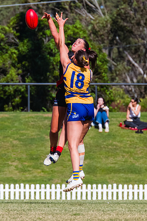 WPD Grand Final - North Shore v Sydney Uni - 20 September 2025