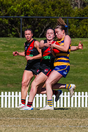 WPD Grand Final - North Shore v Sydney Uni - 20 September 2025