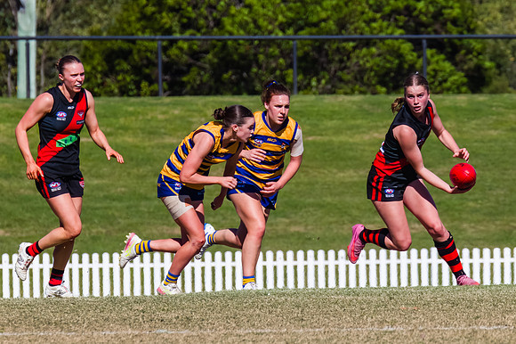 WPD Grand Final - North Shore v Sydney Uni - 20 September 2025