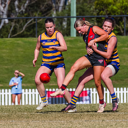 WPD Grand Final - North Shore v Sydney Uni - 20 September 2025