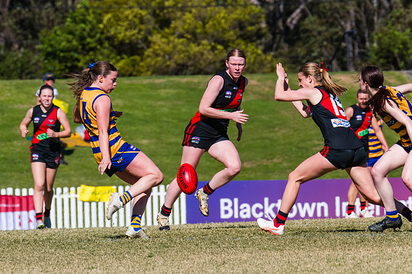 WPD Grand Final - North Shore v Sydney Uni - 20 September 2025