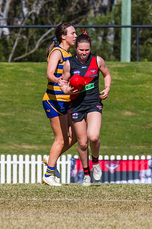 WPD Grand Final - North Shore v Sydney Uni - 20 September 2025
