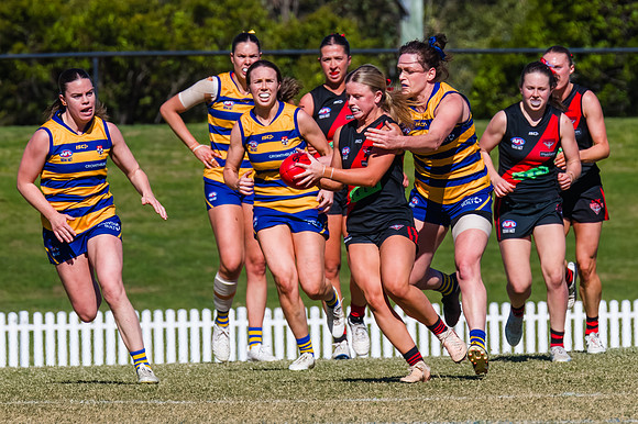 WPD Grand Final - North Shore v Sydney Uni - 20 September 2025