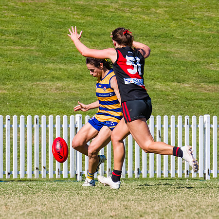 WPD Grand Final - North Shore v Sydney Uni - 20 September 2025