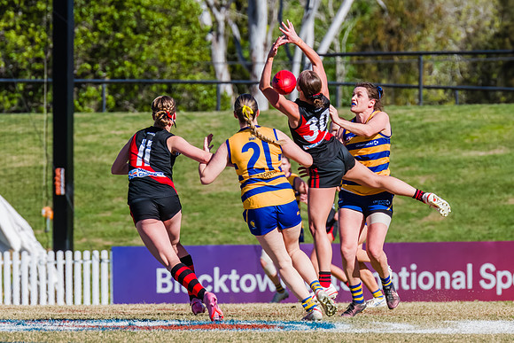 WPD Grand Final - North Shore v Sydney Uni - 20 September 2025