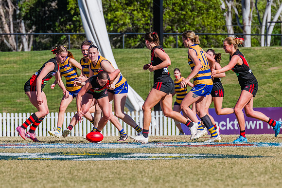 WPD Grand Final - North Shore v Sydney Uni - 20 September 2025