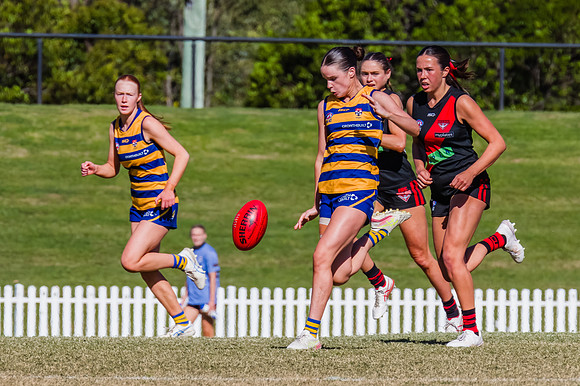 WPD Grand Final - North Shore v Sydney Uni - 20 September 2025