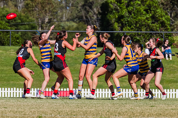 WPD Grand Final - North Shore v Sydney Uni - 20 September 2025